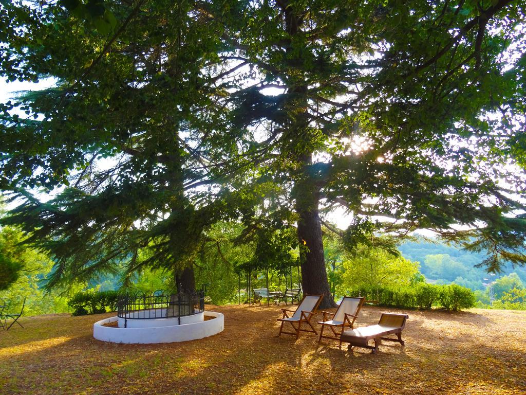 La Celestina Bed & Breakfast Piana Crixia Екстериор снимка