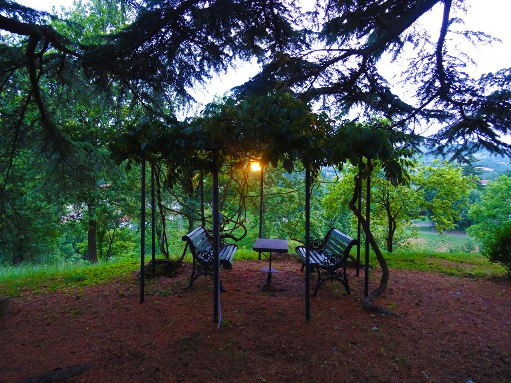 La Celestina Bed & Breakfast Piana Crixia Екстериор снимка